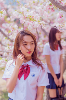 机战私服发布